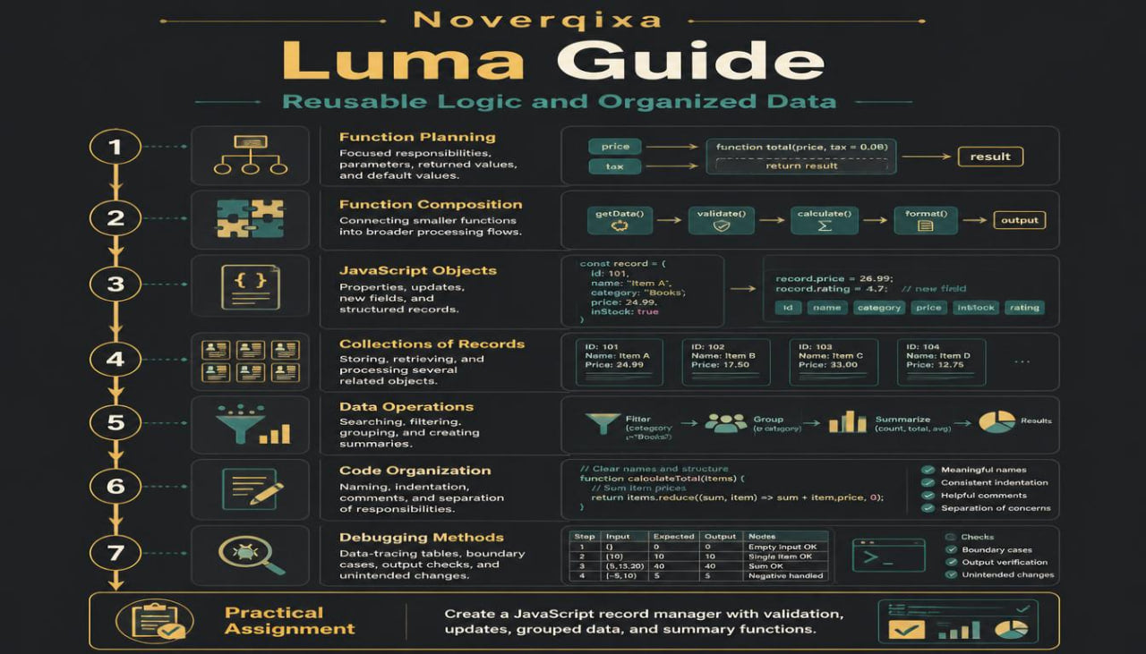 A dark-themed infographic titled 'Noverixa Luma Guide' explaining reusable logic and organized data, with numbered steps 1 through 7, code blocks, icons, and a practical assignment section.